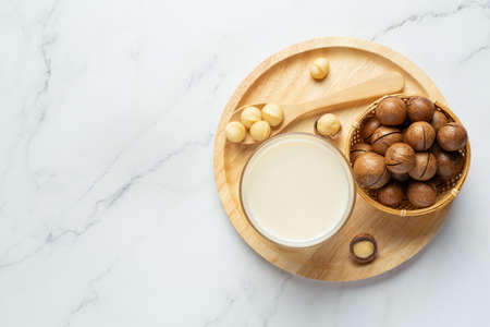 macadamia white milk ready to serveの写真素材
