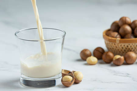 macadamia white milk ready to serveの写真素材