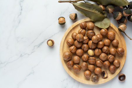 heap of macadamia raw seedの写真素材