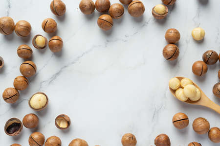 heap of macadamia raw seedの写真素材