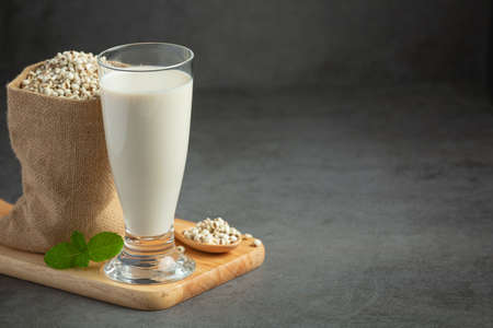 millet milk in glass ready to serveの写真素材