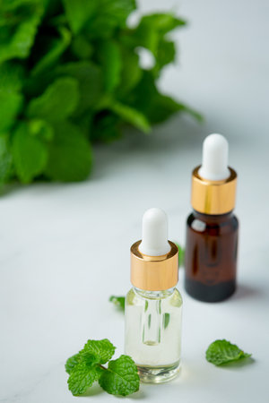 Essential oil of peppermint in bottle with fresh green peppermintの写真素材