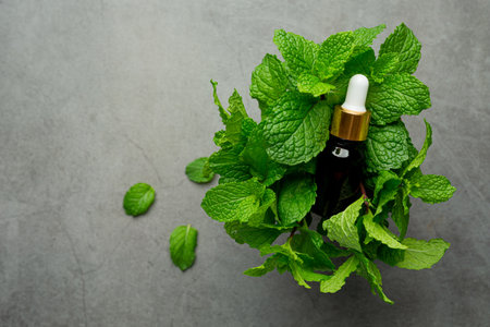 Essential oil of peppermint in bottle with fresh green peppermintの写真素材