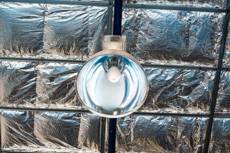 Industrial lamp, High Bay Lightingの写真素材