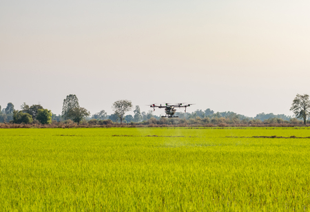 Agriculture drone operation rice field backgroundの写真素材