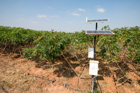 agriculture and Internet of things , smart farmerの写真素材