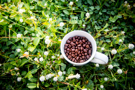 coffee bean in cup on grass field top viewの写真素材