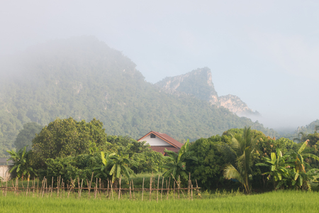 Beautiful landscape mountain and ricefieldの写真素材