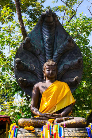 IMAGE OF BUDDHA IN  THAILANDの写真素材