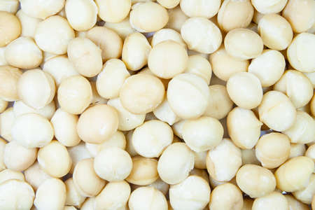 macadamia nutsの写真素材