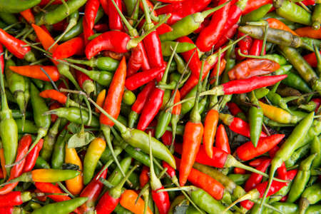 chilies pepperの写真素材