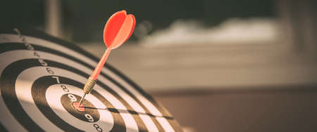 Bullseye or dart board has dart arrow throw hitting the center of a shooting target for business targeting and winning goals business concepts.の写真素材