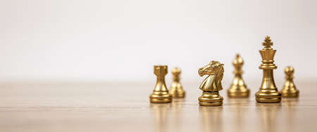 The knight chess standing with a team on chess concepts of business team and leadership strategy and organization risk management or strategic plan and professional teamwork.の写真素材