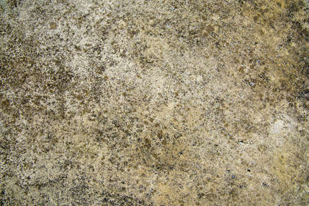 Old cement or concrete outdoor wall with stains and moldy for background and texture.の写真素材