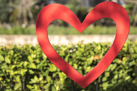Red heart symbol on the green grass decoration at the garden parkの写真素材