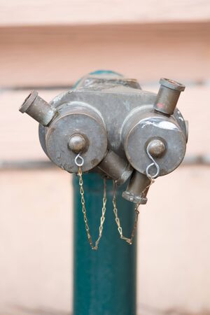 Green fire hydrant on a sidewalkの写真素材