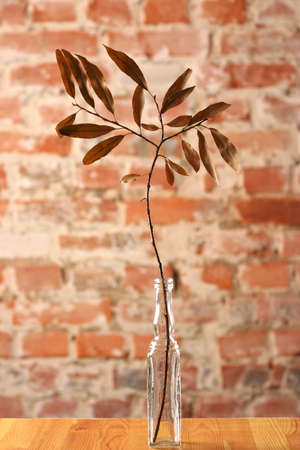Glass bottle with dry delicate twig on brick wall backgroundの写真素材