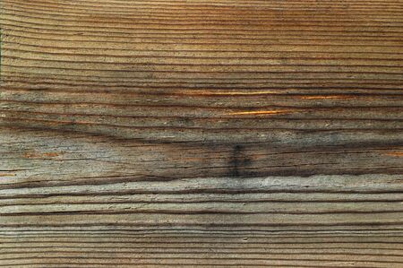 Beautiful wooden fence texture close-up
