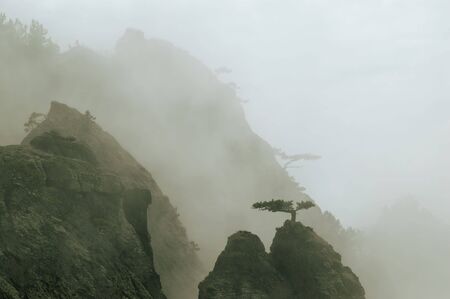 View of misty fog mountains in Crimea, Ukraineの写真素材