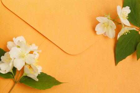 Envelope and jasmine flowers on white backgroundの写真素材