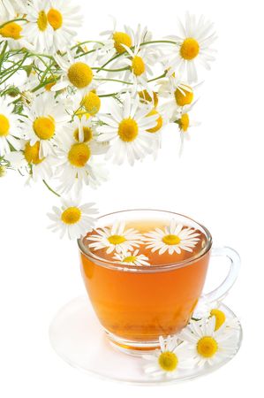Herbal camomile tea on a white backgroundの写真素材