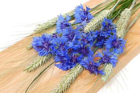 Bunch of cornflowers and green cereals on a wood boardの写真素材