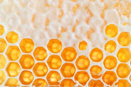 Yellow honeycomb close-up wax cell detail slice backgroundの写真素材