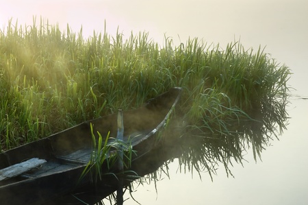 Beautiful river and old rowing boat in green grassの写真素材