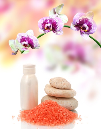 Spa and body care treatment and red orchidの写真素材