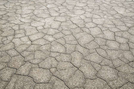 Desert with detail of dead cracked earth