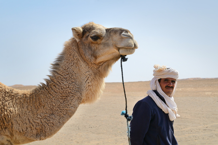 Sahara Desert, Morocco - March 10, 2014: Indigenous berber man with white dromedary camel travelling in Sahara desert.のeditorial素材