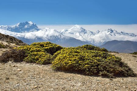 Majestic view of Himalayas mountain.の写真素材
