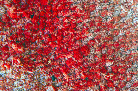 The weave multicolored threads of fabric closeupの写真素材