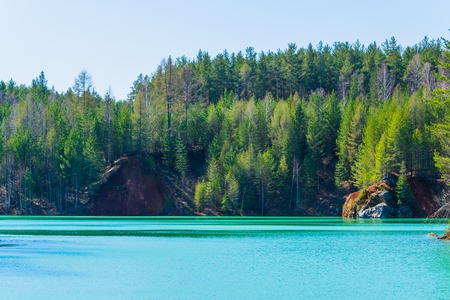 forest lake in the early spring on a sunny dayの写真素材