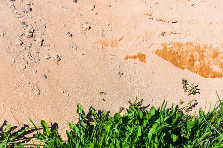 texture of a light tan sand and stones with grassの写真素材