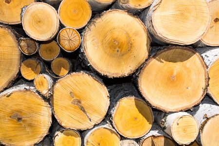 Background from sawn logs of trees and chopped firewoodの写真素材