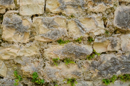 gray-brown background, texture stone masonry