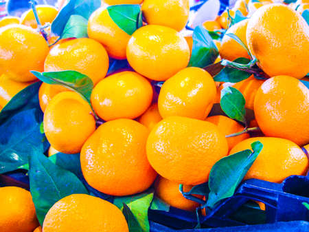 Ripe tangerines with green leaves in a box. Tangerine background.の写真素材