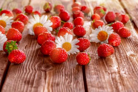 A lot of strawberries lie on a wooden table on the street. White chamomiles, good weather and sunny day aroundの写真素材