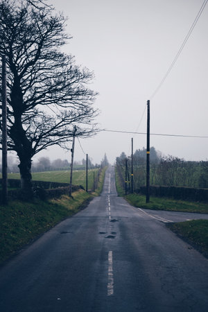 secondary road surrounded by forests in northern ireland, on November 19, 2019