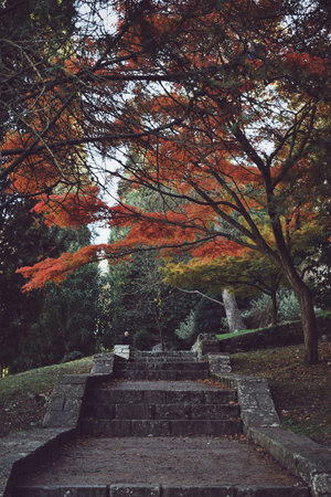 gardens in the old city of Girona in Catalonia, Spain, on December 9, 2023のeditorial素材