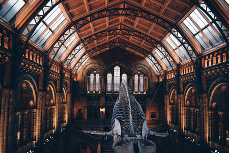 London Natural History Museum, in England on October 25, 2017のeditorial素材