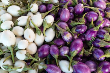Fresh raw shiny white and purple eggplant in summer asian thai marketの写真素材