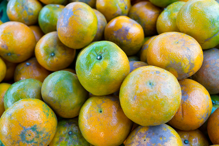 Fresh green and orange tangerine in asian thai marketの写真素材