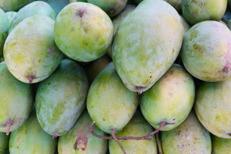 Fresh green vitamin mango in thai marketの写真素材