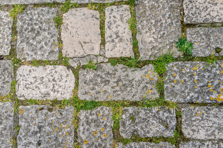 Tiled stack stone floor with green grass plant as texture or background.の写真素材
