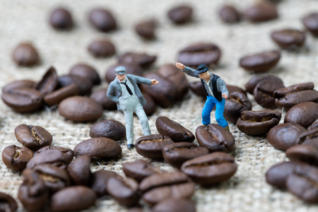 Coffee business expert or professional concept, miniature happy people figurine standing with roasted coffee beans on gunny bag background, selecting best aroma quality.の写真素材