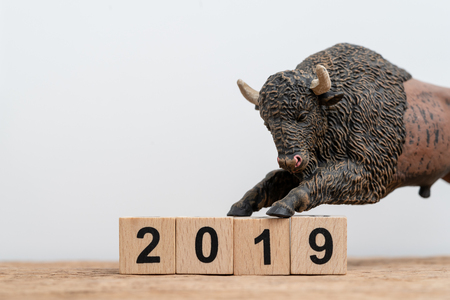 Year 2019 financial or investment stock bull market concept with bull figure on cube block with year...