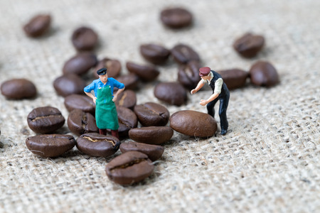 Coffee professional or expertise concept, miniature people figurine worker standing with roasted coffee beans on gunny bag, selecting best aroma quality.の写真素材
