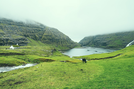 Beautiful peaceful church in Saksun valley next to the waterfall in foggy weather, Faroe Islands, North Europe, hidden gem for travel destination.の写真素材